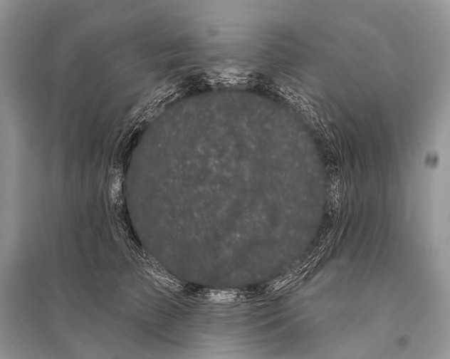 X0000094920709200712201220