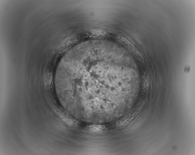 X0000094920711200712201220