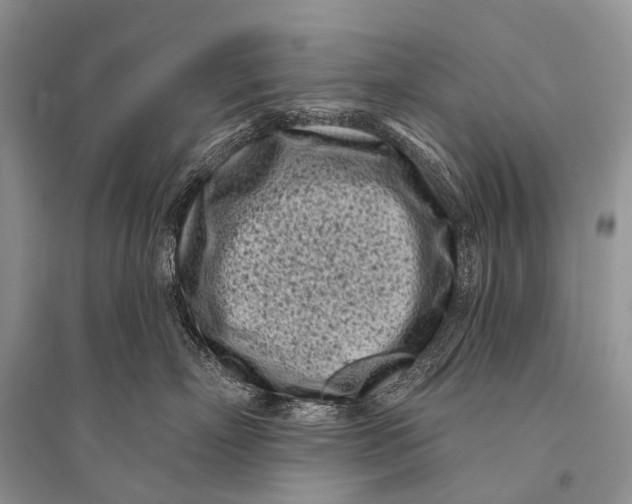 X0000094920718200712201220