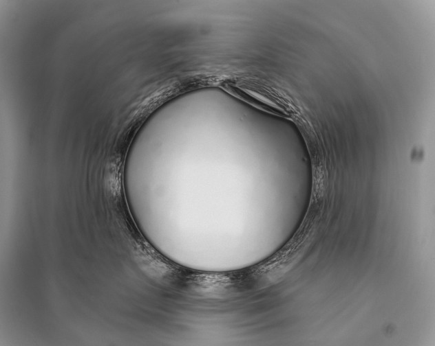 X0000094920719200712201220