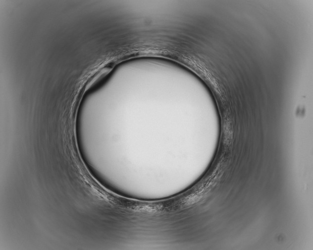 X0000094920721200712201219