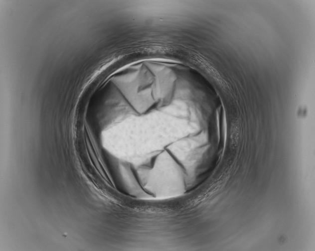 X0000094920722200712201219