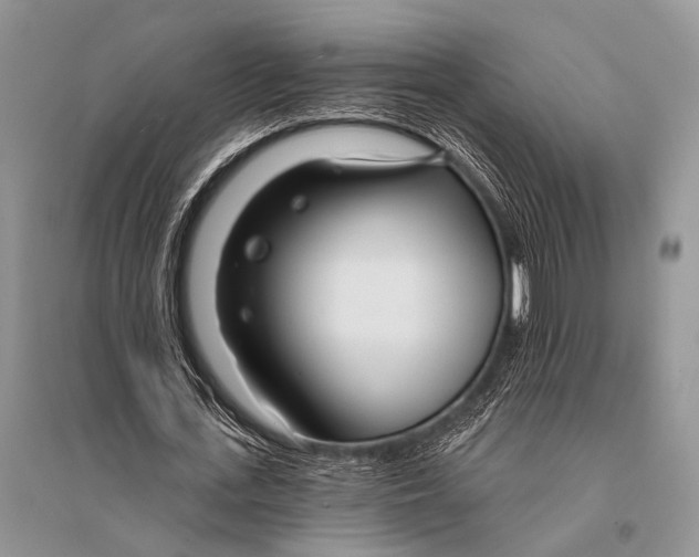 X0000094920723200712201219