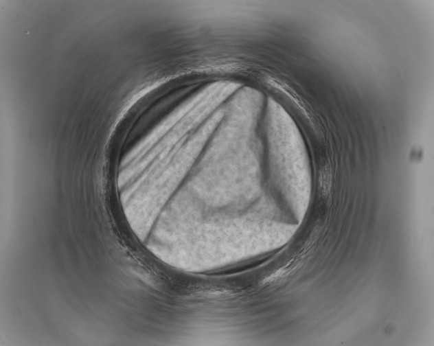 X0000094920724200712201219