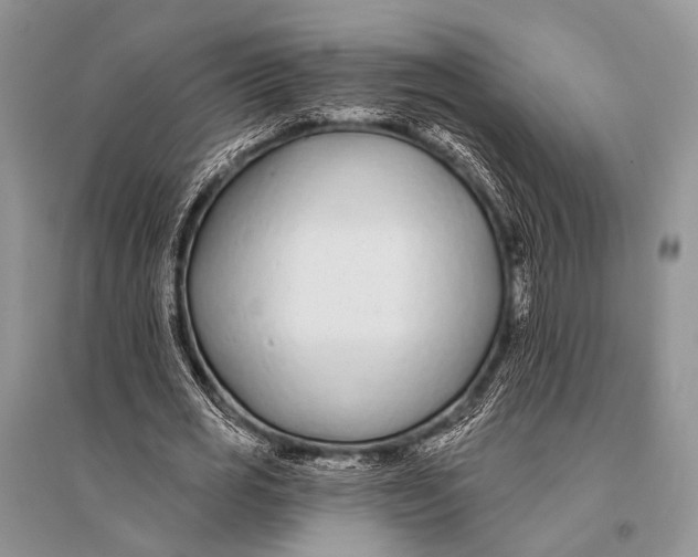 X0000094920725200712201219