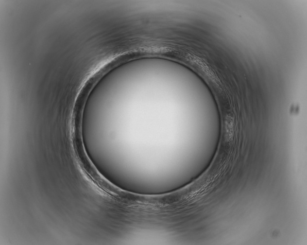 X0000094920726200712201219