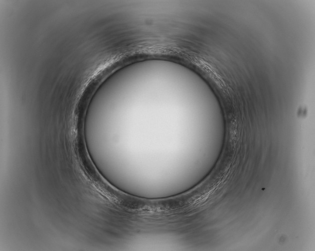 X0000094920727200712201219