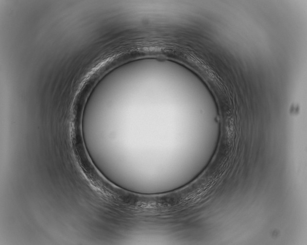 X0000094920728200712201219