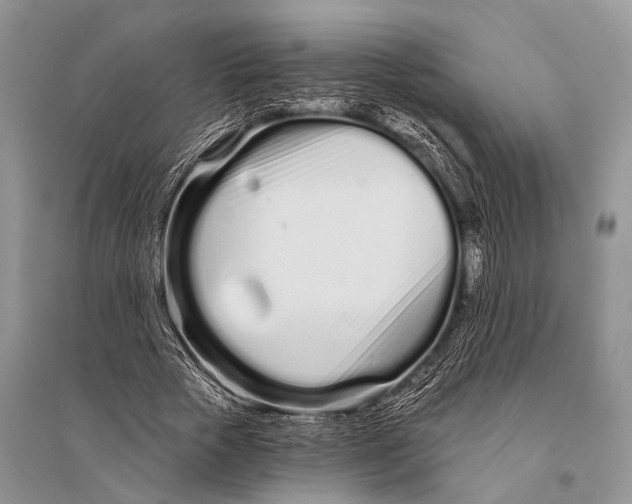 X0000094920729200712201219