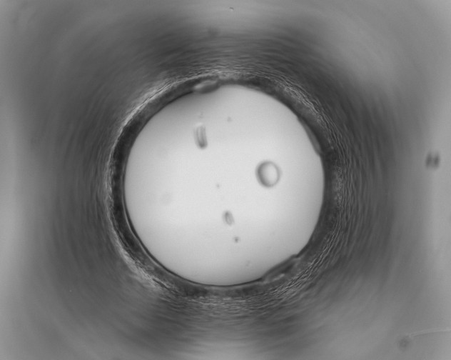 X0000094920730200712201219