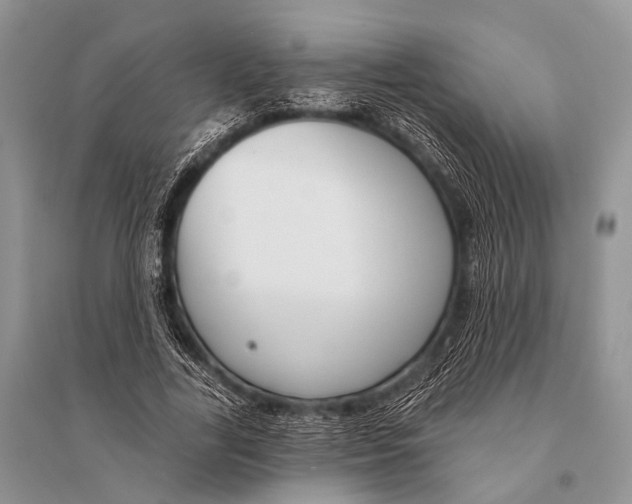 X0000094920731200712201219