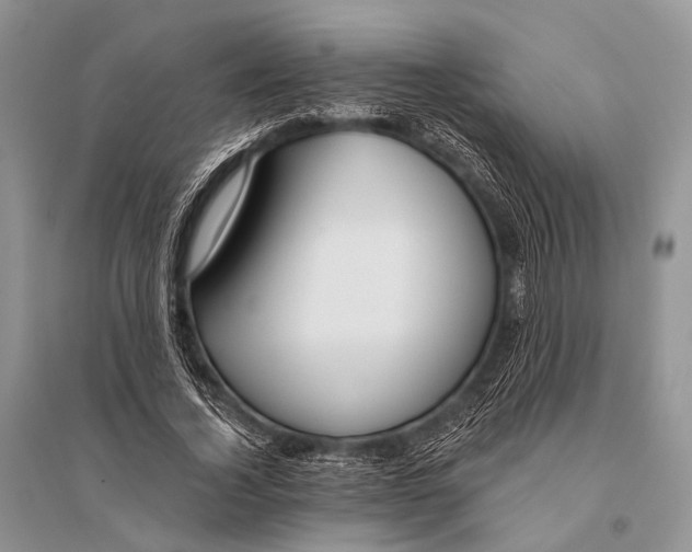 X0000094920732200712201219