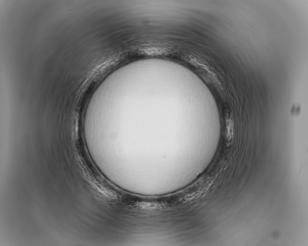 X0000094920733200712201219