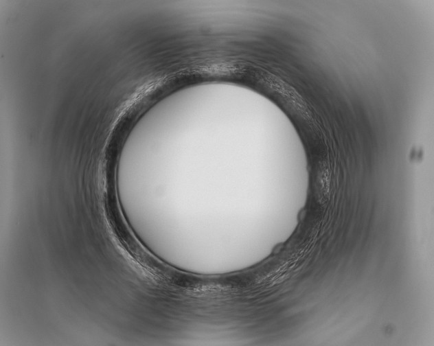 X0000094920734200712201219