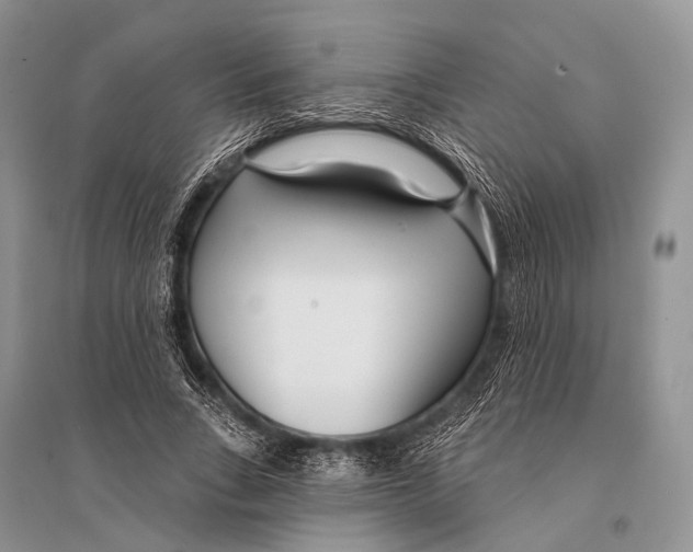 X0000094920735200712201219