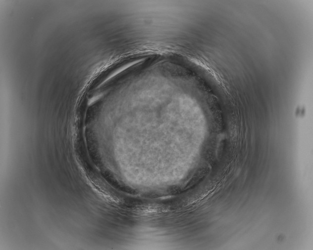 X0000094920736200712201219