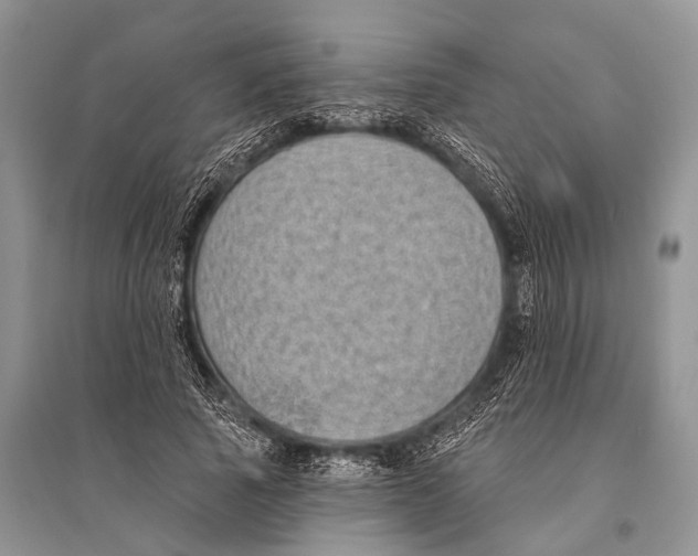 X0000094920737200712201219