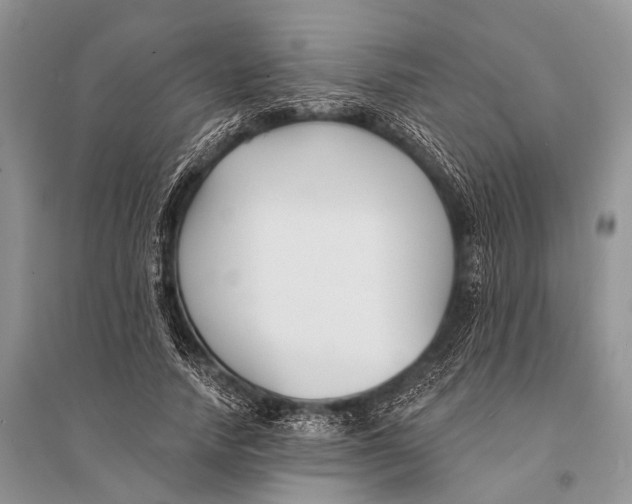 X0000094920738200712201219