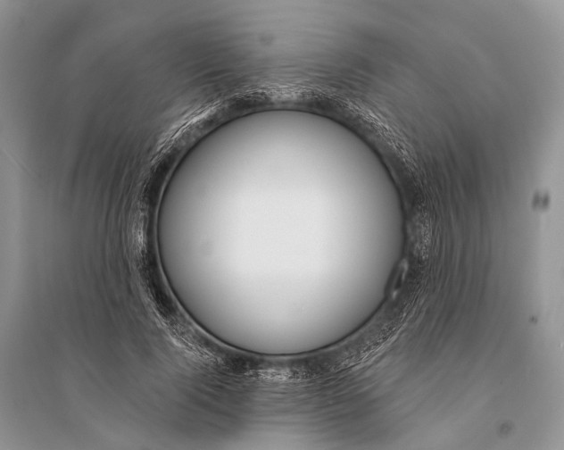 X0000094920740200712201219