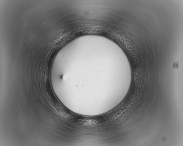 X0000094920741200712201219