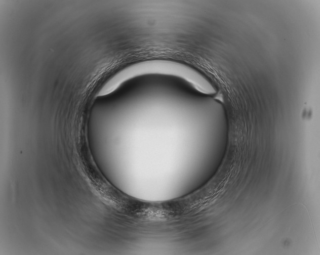 X0000094920742200712201219