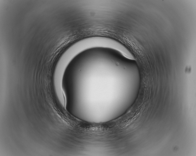 X0000094920744200712201219