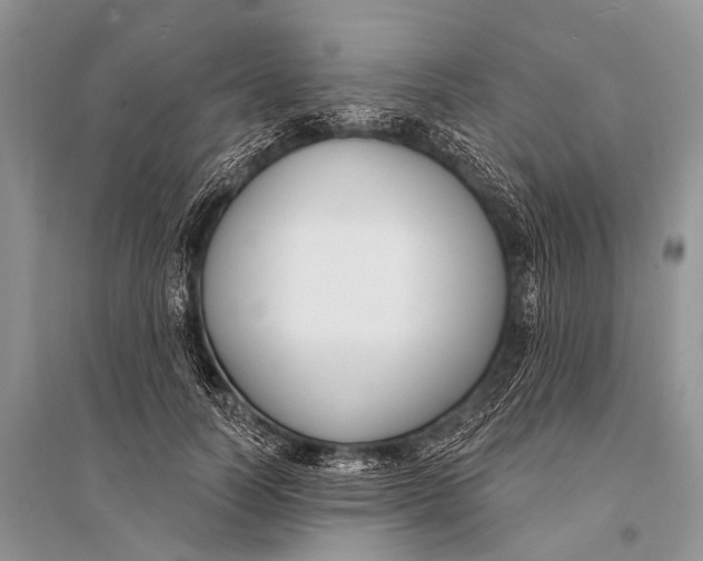 X0000094920746200712201219