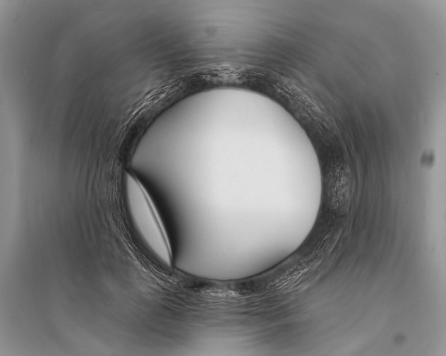 X0000094920747200712201219