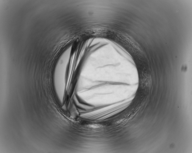 X0000094920748200712201219