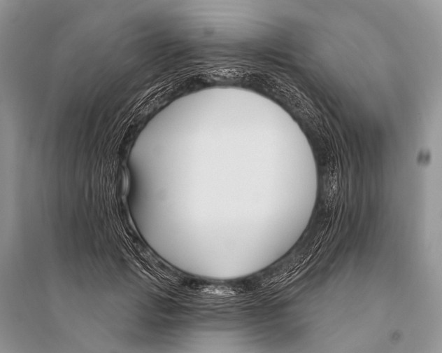 X0000094920749200712201219