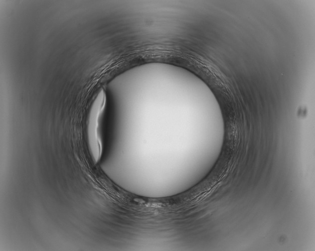 X0000094920751200712201219