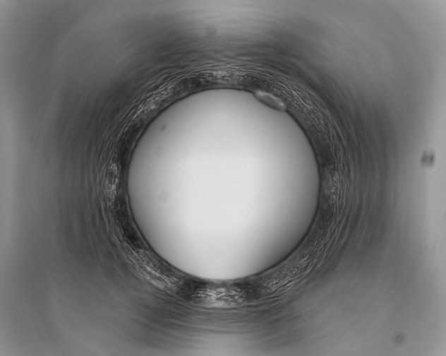 X0000094920752200712201219