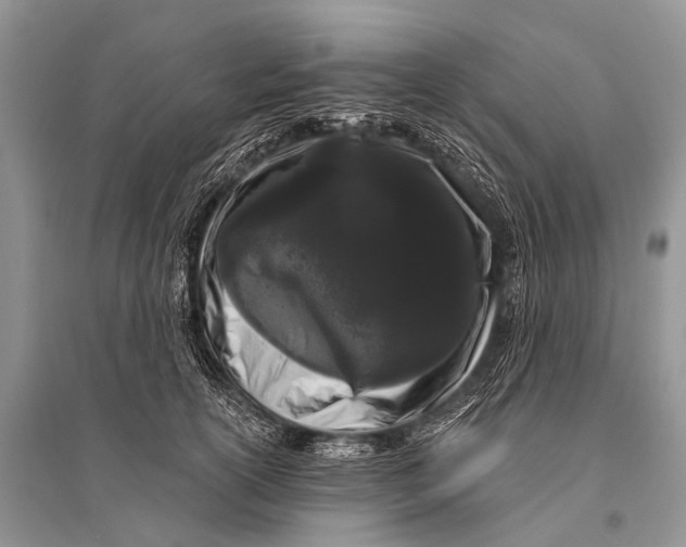 X0000094920754200712201219