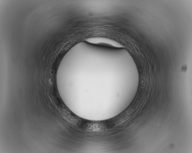 X0000094920755200712201219