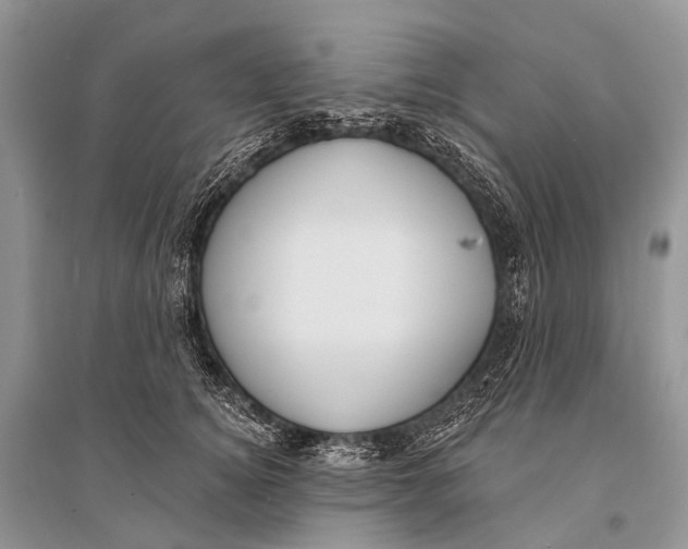 X0000094920756200712201219