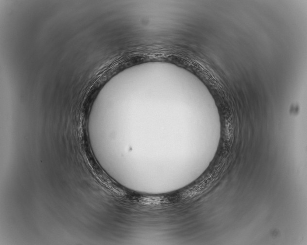 X0000094920757200712201219