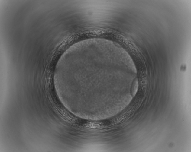 X0000094920758200712201219