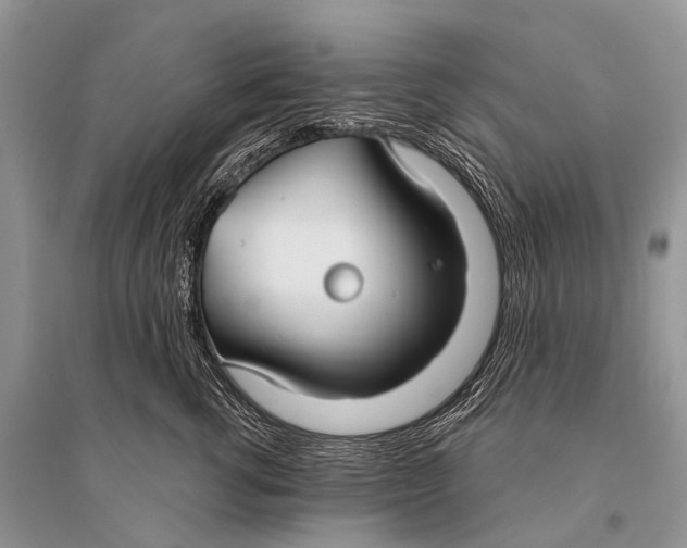 X0000094920762200712201220