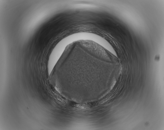 X0000094920763200712201220