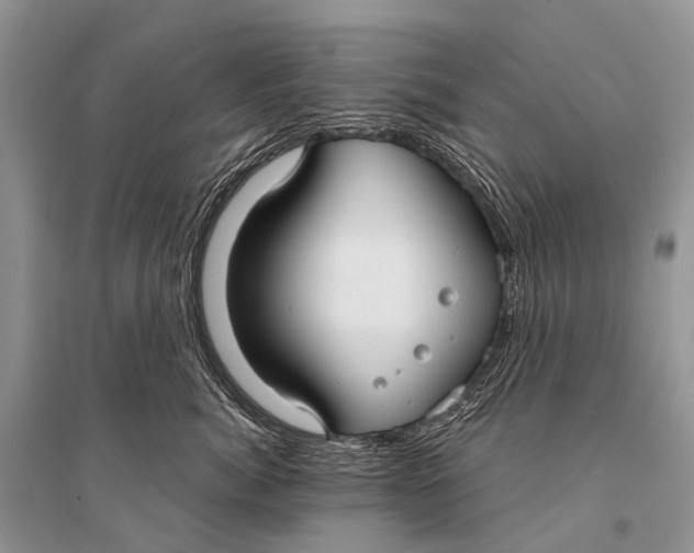 X0000094920764200712201220