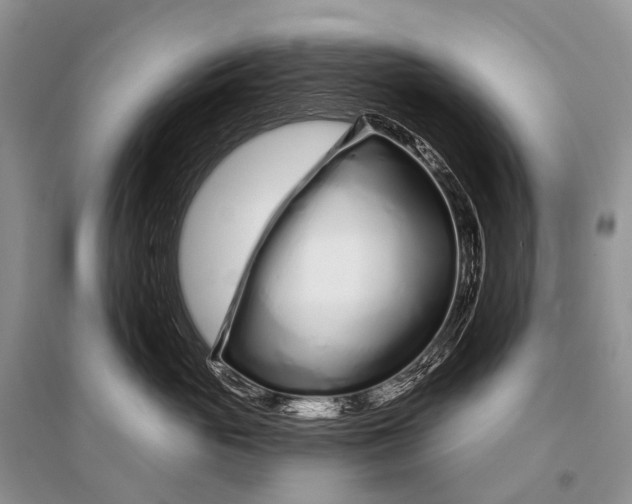 X0000094920765200712201220