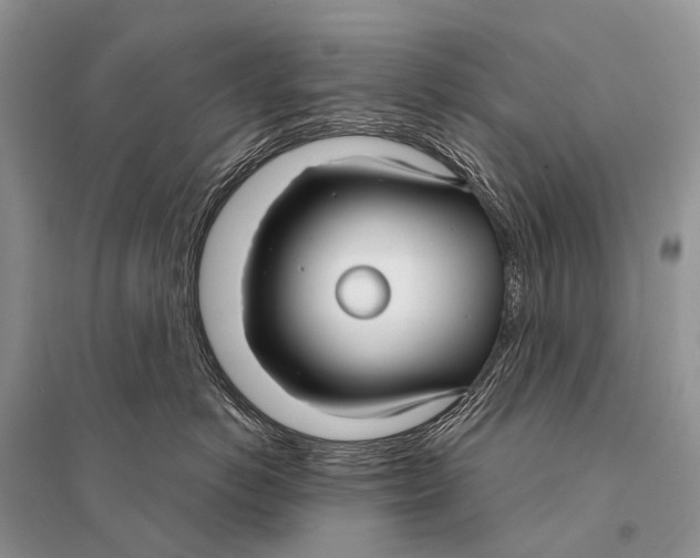 X0000094920766200712201220