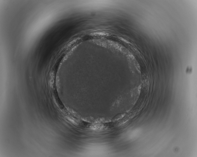 X0000094920767200712201220