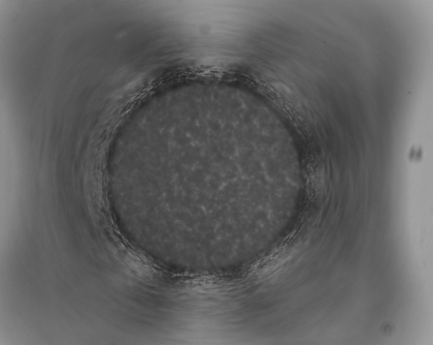 X0000094920769200712201219