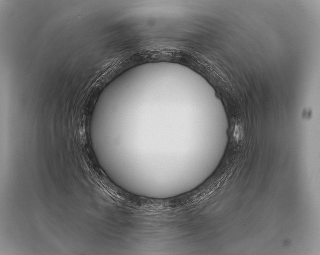 X0000094920771200712201219