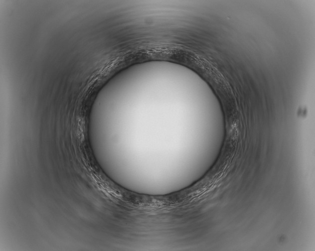 X0000094920772200712201219