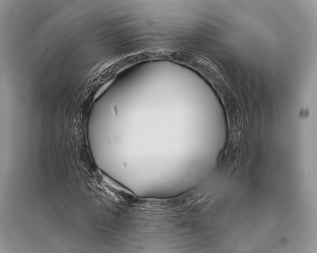 X0000094920773200712201219