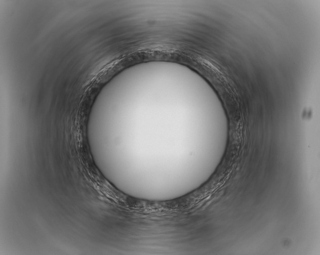 X0000094920774200712201219