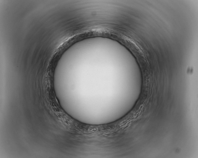 X0000094920776200712201219