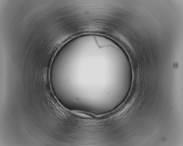 X0000094920777200712201219